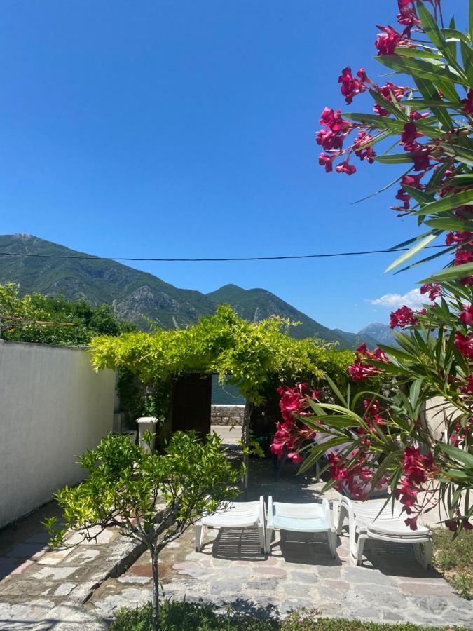 Mansarda Apartment Κότορ Εξωτερικό φωτογραφία